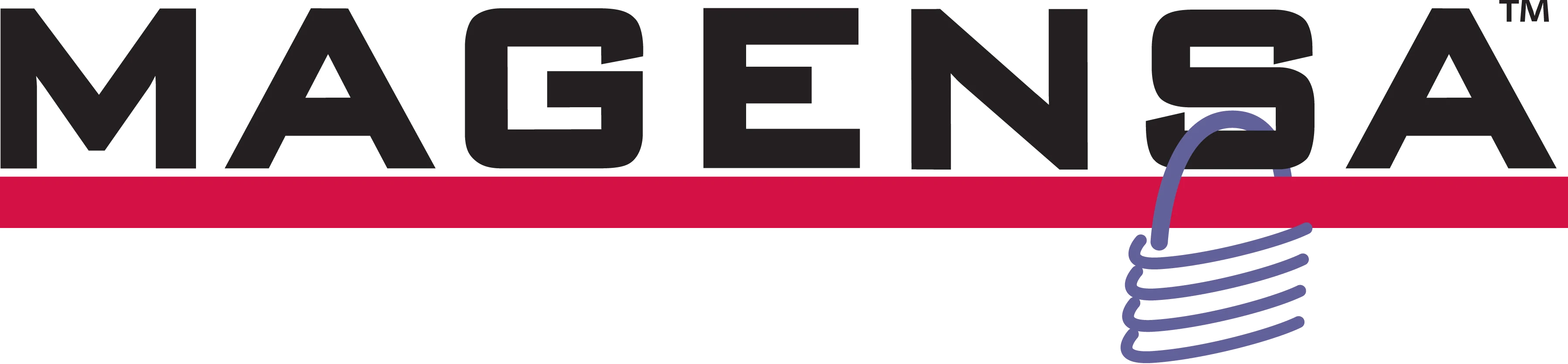 Magensa logo